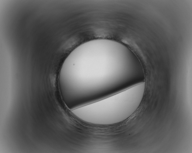 X0000088390066200705220809