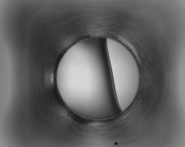 X0000088390067200705220809