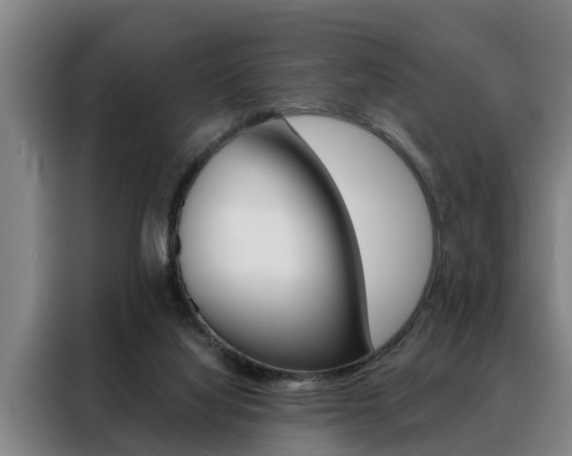 X0000088390068200705220809