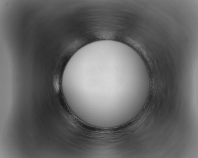 X0000088390069200705220809