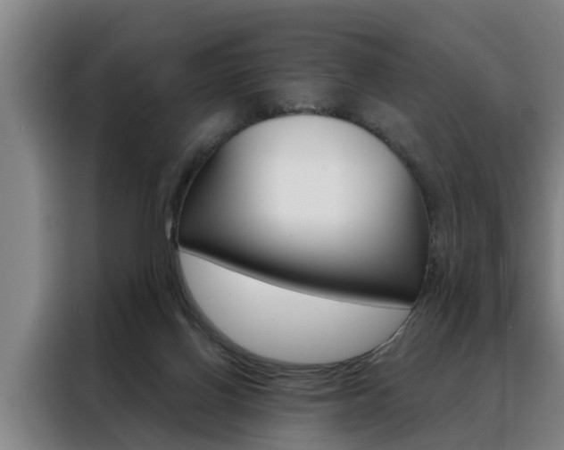 X0000088390070200705220809