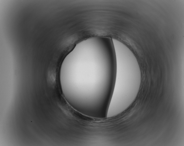 X0000088390072200705220809