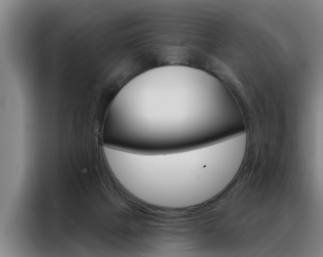 X0000088390073200705220809