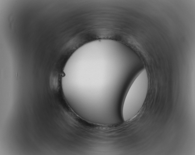 X0000088390074200705220809