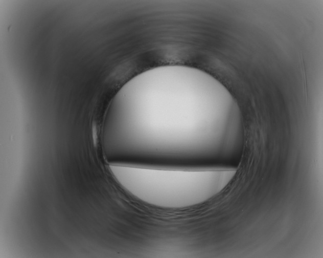 X0000088390075200705220809