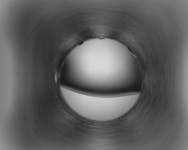 X0000088390076200705220809