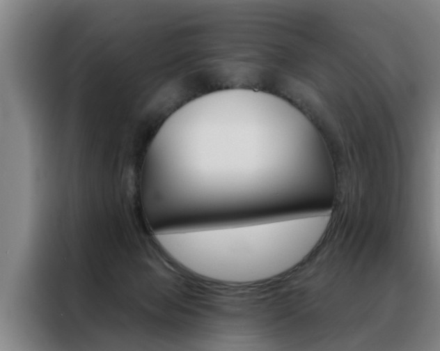 X0000088390077200705220809