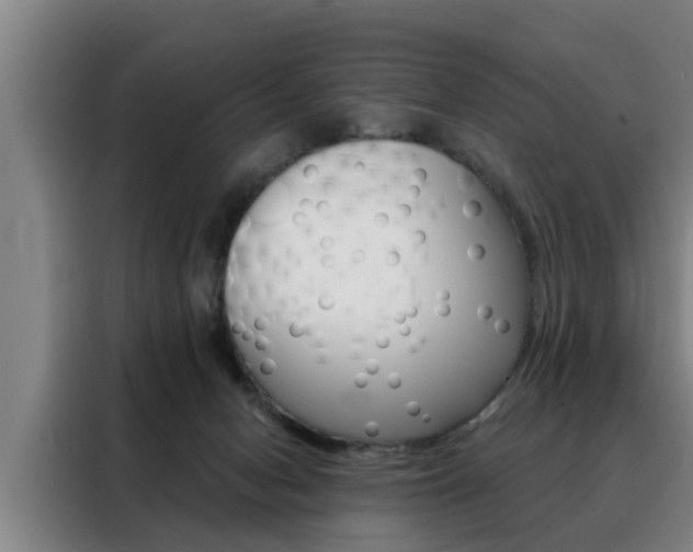 X0000088390078200705220809