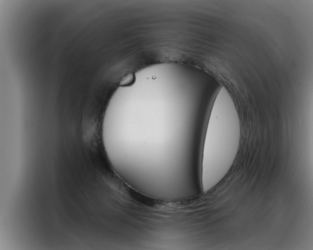 X0000088390079200705220809