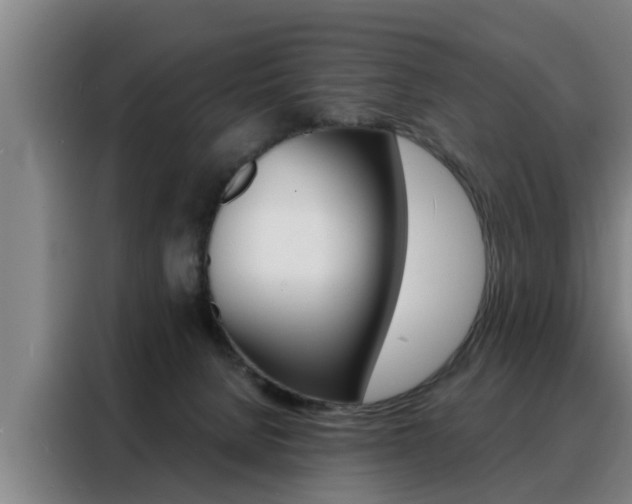 X0000088390080200705220809