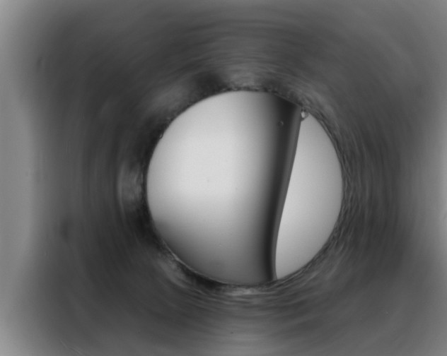 X0000088390081200705220809