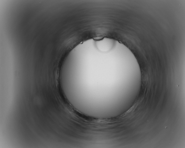 X0000088390082200705220809