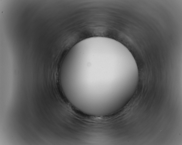 X0000088390083200705220809