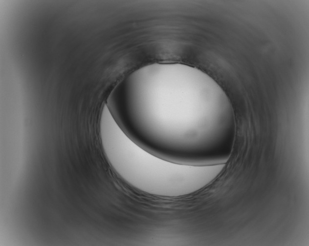 X0000088390084200705220809