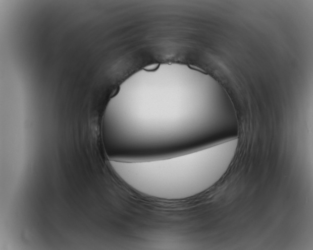 X0000088390085200705220809