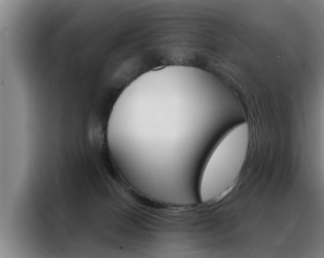 X0000088390086200705220809