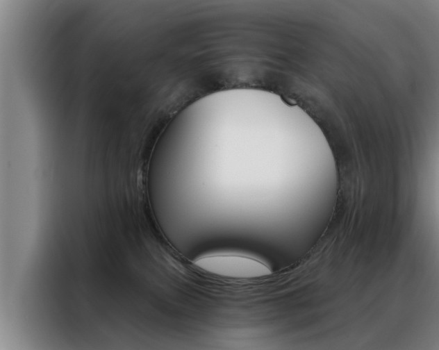 X0000088390087200705220809