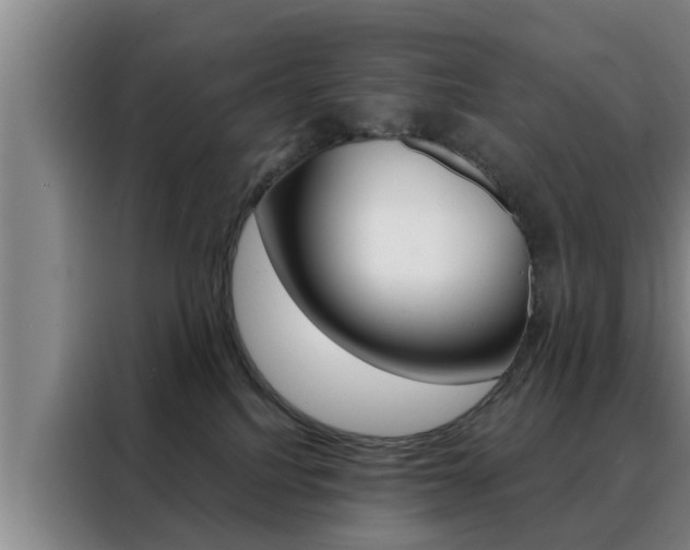 X0000088390088200705220809