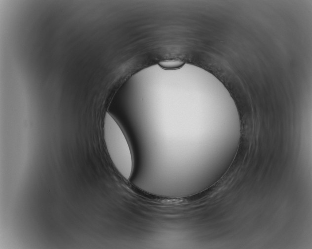 X0000088390089200705220809