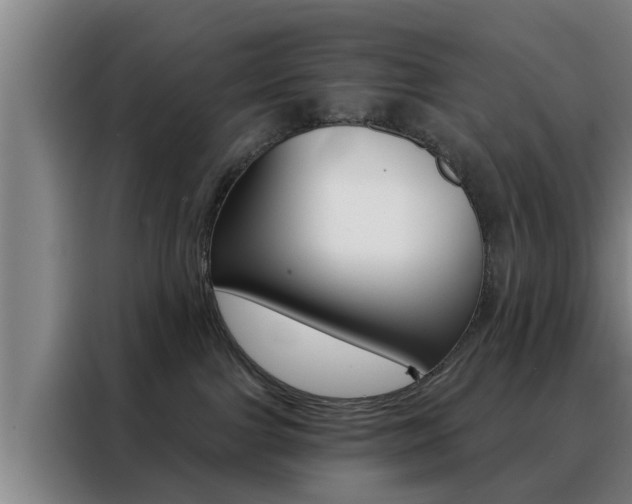 X0000088390091200705220809