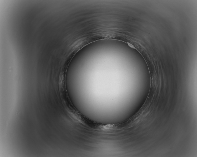 X0000088390092200705220809