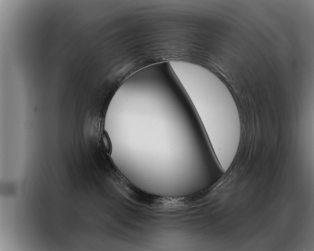 X0000088390093200705220810