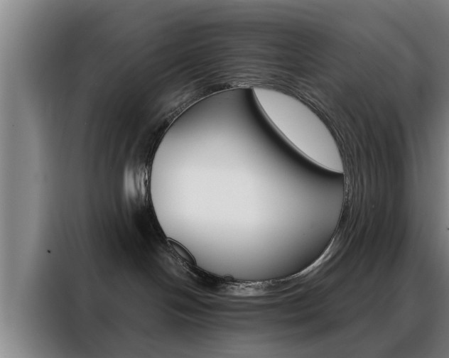 X0000088390094200705220810