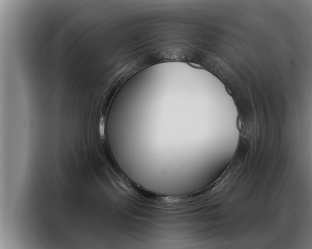 X0000088390095200705220810