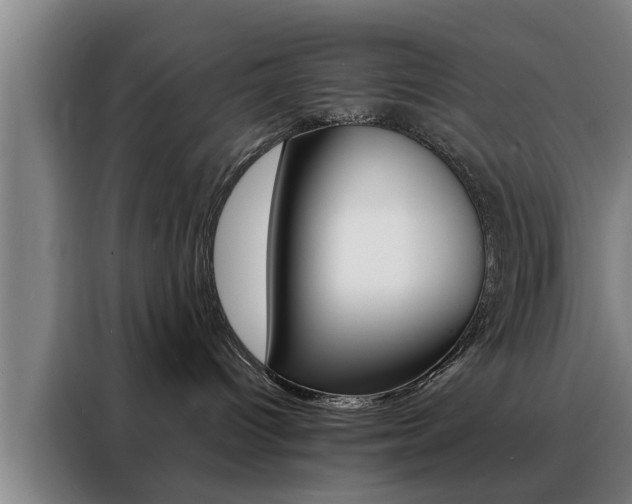 X0000088390096200705220810