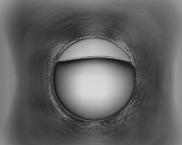 X0000088390097200705220809