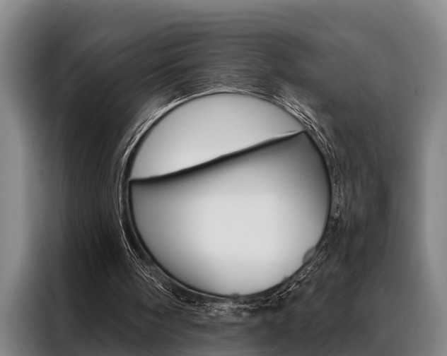 X0000088390098200705220809