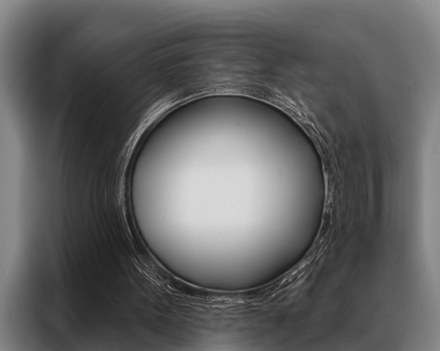 X0000088390099200705220809