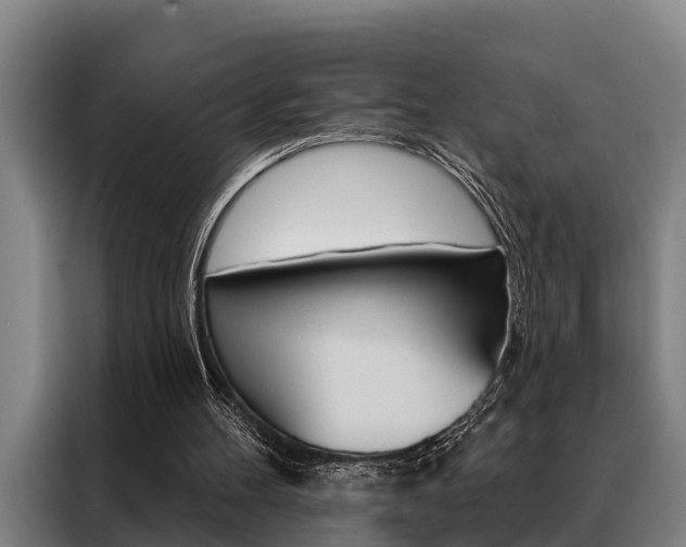 X0000088390100200705220809