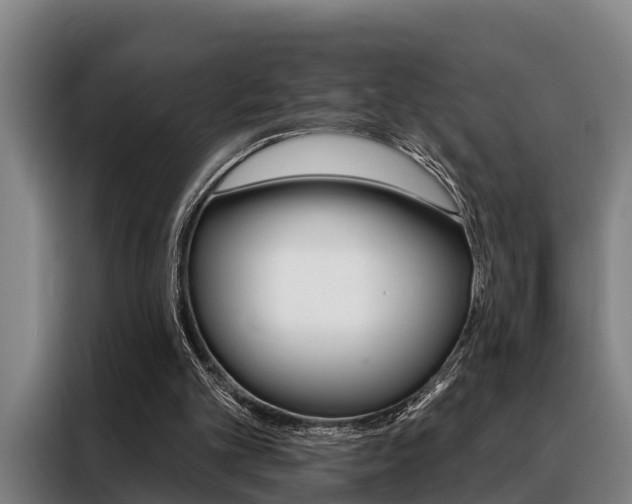 X0000088390101200705220809