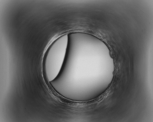 X0000088390102200705220809