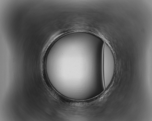 X0000088390103200705220809