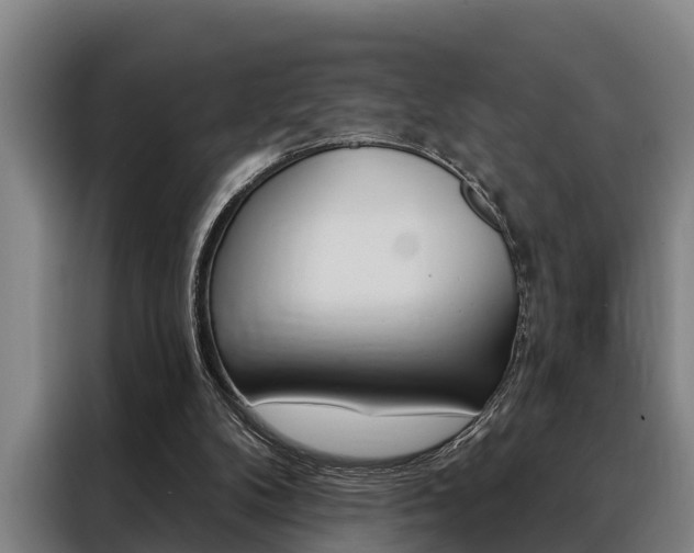 X0000088390104200705220809