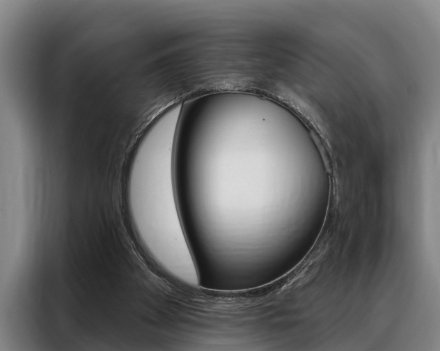 X0000088390105200705220809