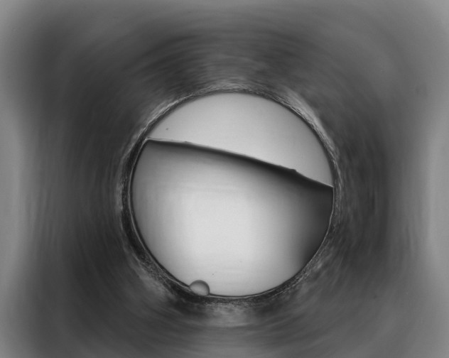 X0000088390106200705220809