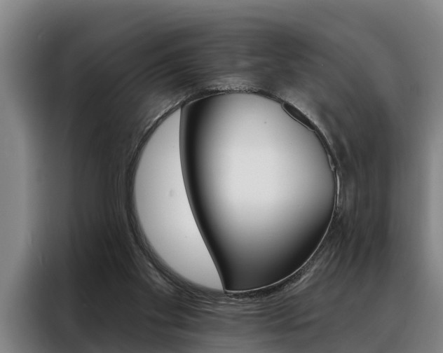 X0000088390109200705220809