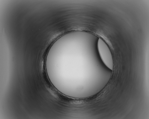 X0000088390110200705220809