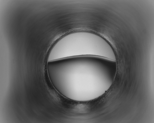 X0000088390111200705220809