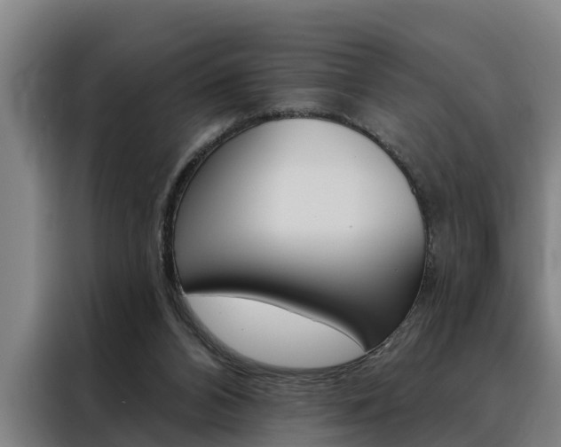 X0000088390112200705220809