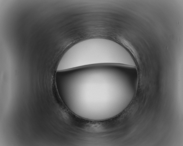 X0000088390113200705220809