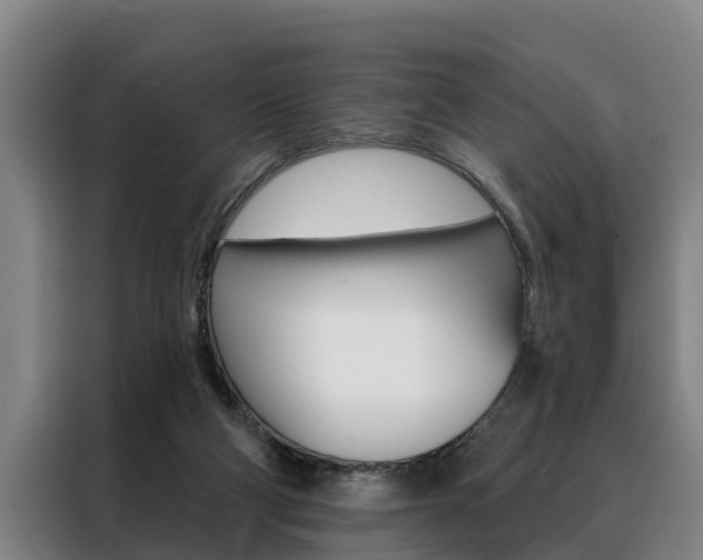 X0000088390114200705220809