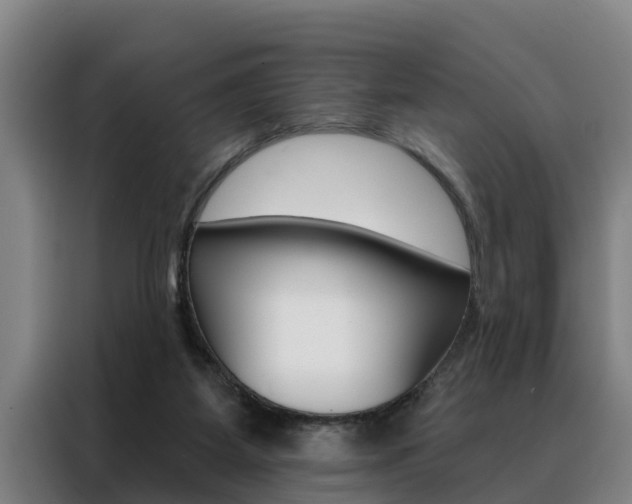 X0000088390115200705220809