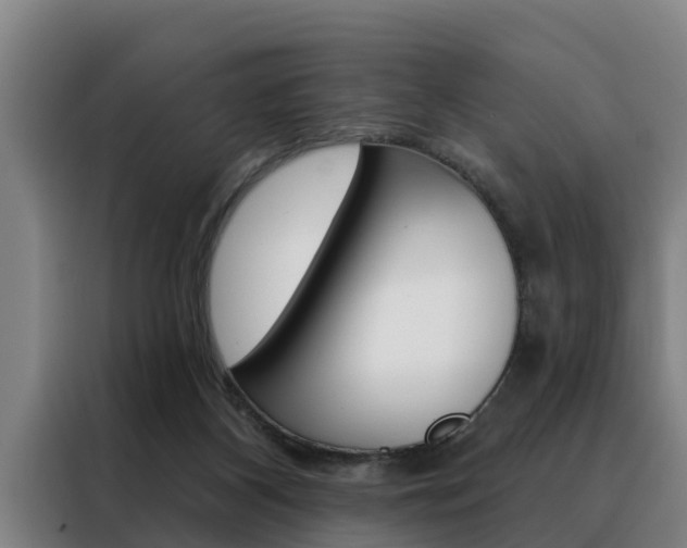 X0000088390116200705220809