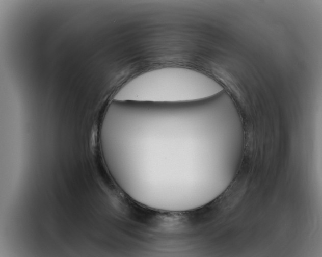 X0000088390118200705220809