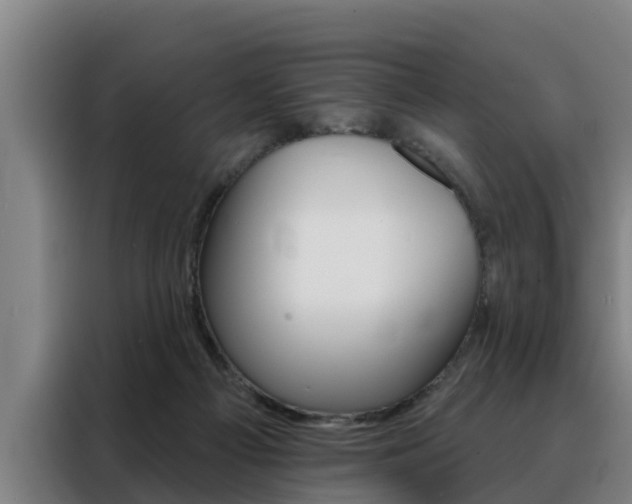 X0000088390121200705220809