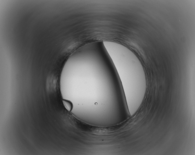 X0000088390123200705220809